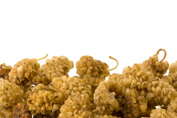 istock dried mulberry fruits border 117247379