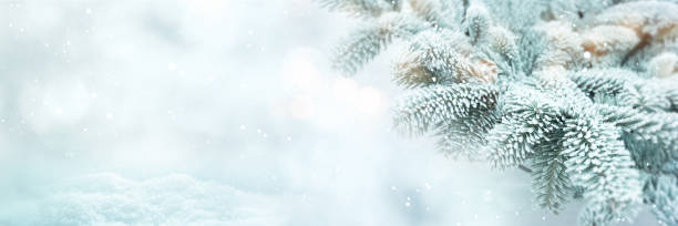istock Winter scene background with fir branches 1172474415