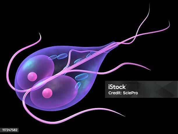 ジアルジア - ランブル鞭毛虫のストックフォトや画像を多数ご用意 - ランブル鞭毛虫, イラストレーション, ウイルス