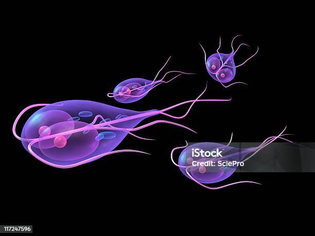 Giardia Stock Photo - Download Image Now - Giardia Lamblia, Photography, Bacterium