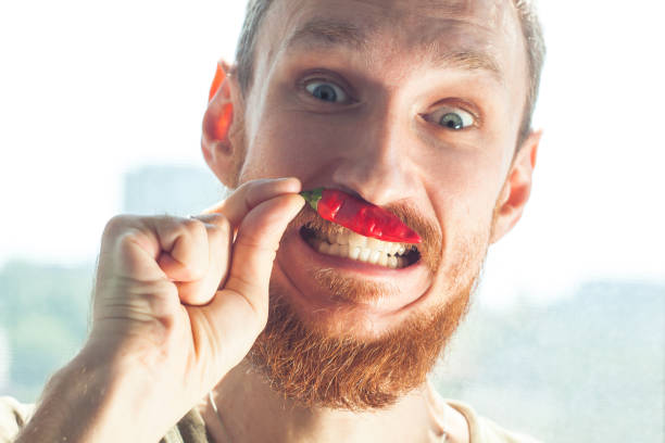 Handsome bearded man bites a red hot chili pepper and smiles.