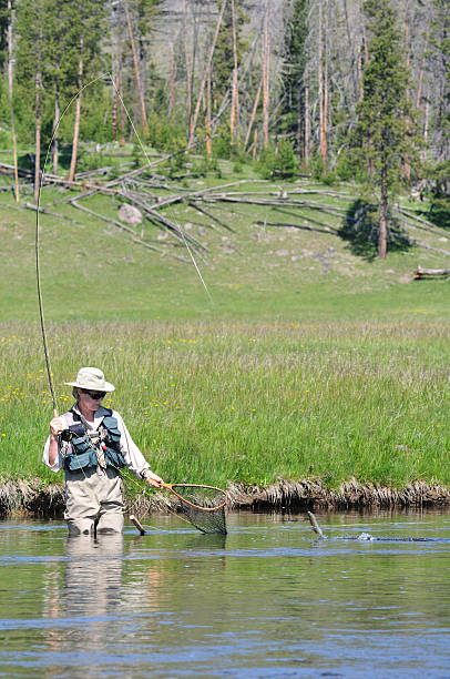 istock active senior woman with fish leaping to net 117247749