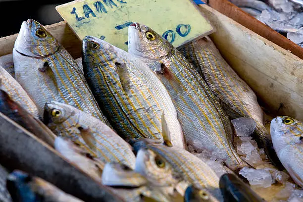 Fresh fish in the fishmarket - Greece
