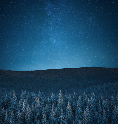 Aerial view on snowcapped pine forest under starry night sky.
