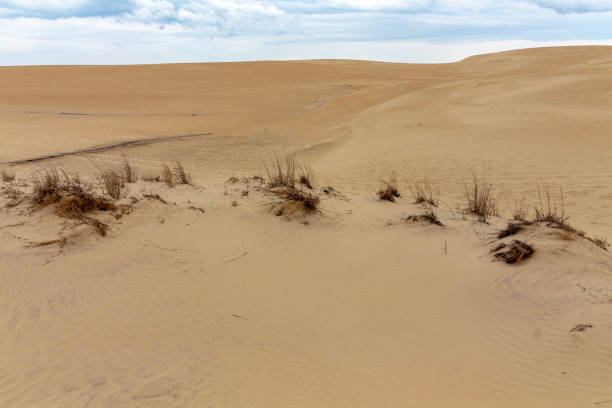 Jockeys Ridge State Park, Outer Banks, North Carolina