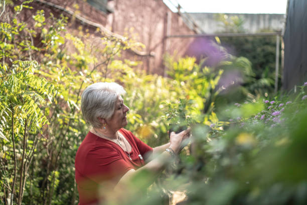 istock Customer exploring options among plants in a small flower shop 1172486132