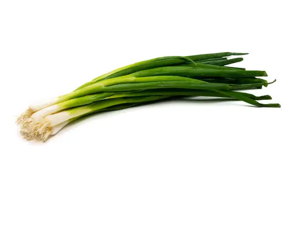Bundle of spring onions isolated on white background.