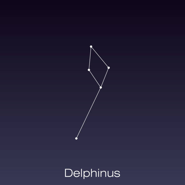 constellation as it can be seen by the naked eye. Delphinus constellation as it can be seen by the naked eye. constellation delphinus stock illustrations