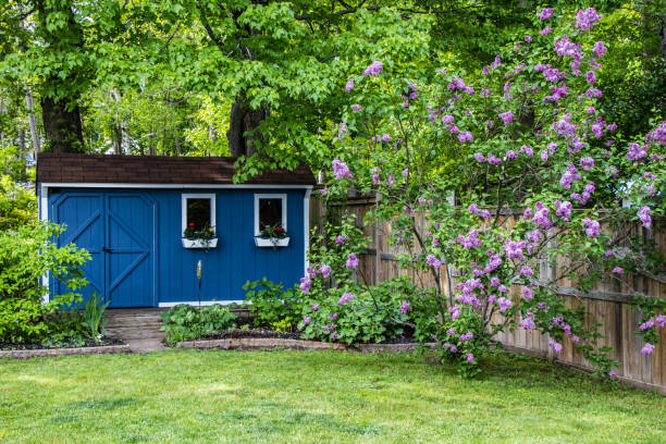Blue garden she shed in the backyard a blue garden shed surrounded by green trees, gardens, lawn and purple lilac bushes shed stock pictures, royalty-free photos & images