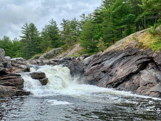 istock water rushing over rapids on a rocky tree lined shore on a summer day in Canada 1172494074