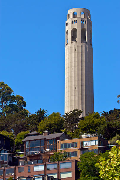 istock Coit Tower atop the homes 117249783