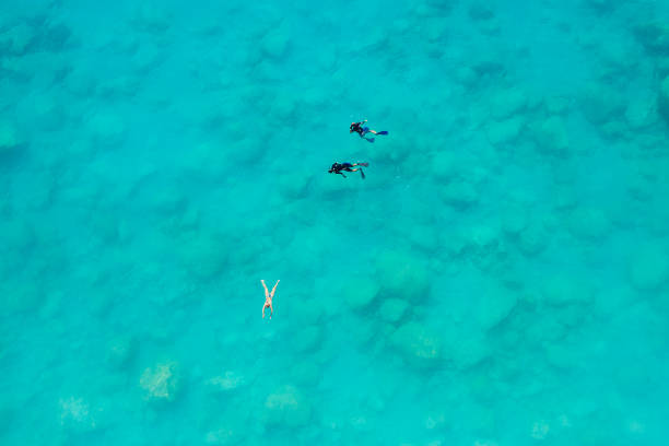 istock Drone view of swimming people 1172498585