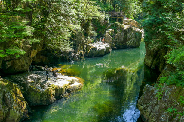 associações de cabo no rio de capilano, vancôver norte, canadá - vancouver suspension bridge bridge people - fotografias e filmes do acervo