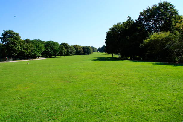istock Panorama from the Westpark in Munich in Bavaria 1172499564