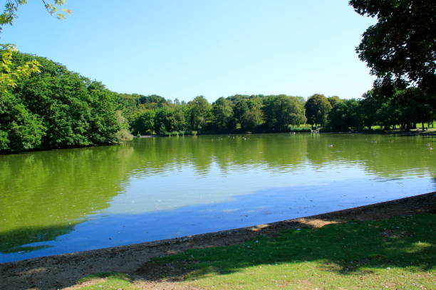 istock Panorama from the Westpark in Munich in Bavaria 1172500093