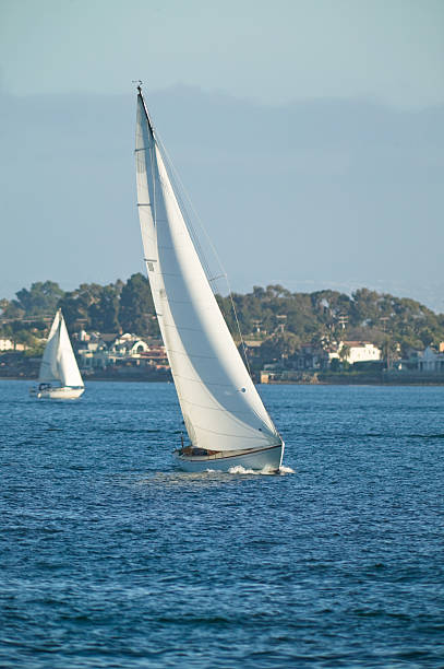 istock Sailing Boat at Sea 117250109