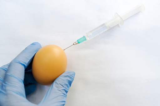 Egg Pox Pictures | Download Free Images on Unsplash