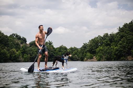 Pet owner paddleboarding with his loyal pet