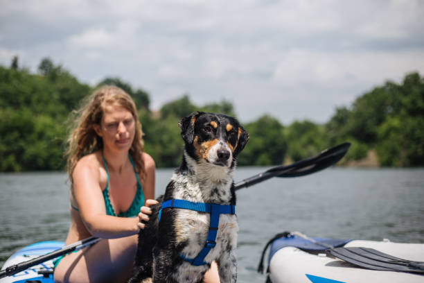 istock Floating pet with his owner 1172513282