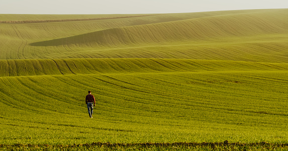 Man walking on green meadow, Moravian Slovakia,Czech Republic