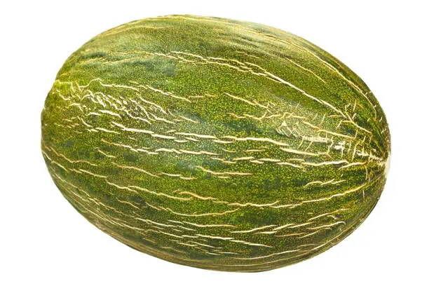 Green Melone against a white background
