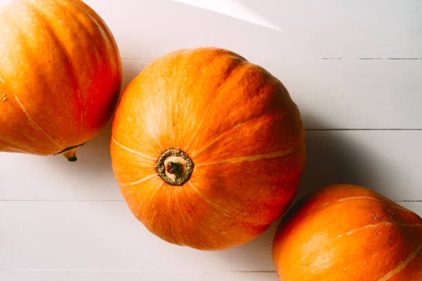 istock Large pumpkins on white background, autumn mood ,space for text, white background 1172520581