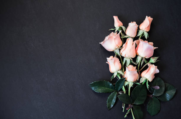 istock Rose Flowers on Dark Background. Pink Roses Top view Flat lay, Copy Space 1172524620
