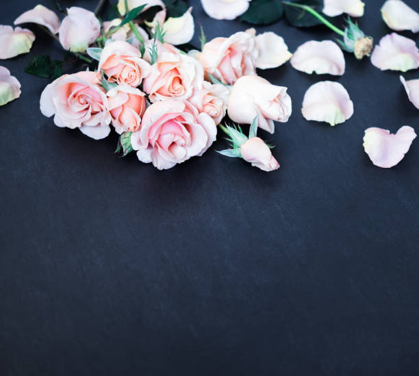 istock Rose Flowers on Dark Background. Pink Roses Top view Flat lay, Copy Space 1172524621