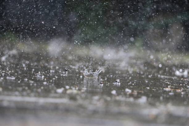 istock rain is falling on the street 1172525871