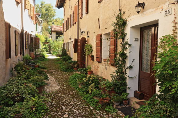 Spilimbergo  is a town located northeast of Venice in the province of Pordenone in Friuli-Venezia Giulia, northern Italy. The town is notable as the home of the Mosaic School of Friuli