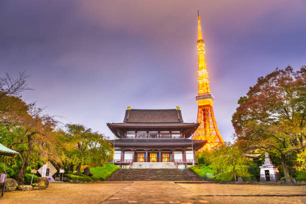 Tokyo, Japan - November 13, 2015: Zozo-ji Temple at the base of Tokyo Tower at night during autumn season. The temple was complete in the year 1393.