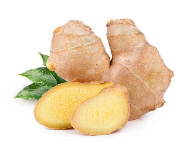 istock Ginger root with leaves isolated on white background 1172535030