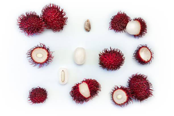 frutta rambutan tropicale pelosa, intera, metà, tagliata, seme, carne isolata su sfondo bianco - rambutan foto e immagini stock