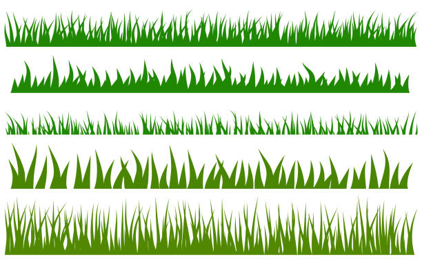grünes gras vektor-set - graspflanze stock-grafiken, -clipart, -cartoons und -symbole