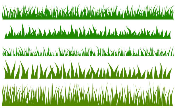 zestaw wektorów zielonej trawy - green grass obrazy stock illustrations