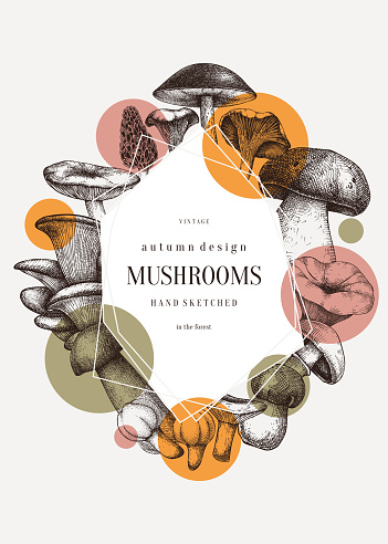 Mushrooms vector collage