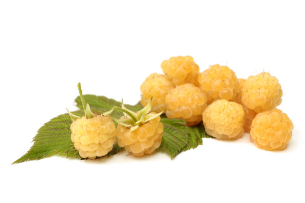 istock Fresh yellow raspberries with leaves 1172542204