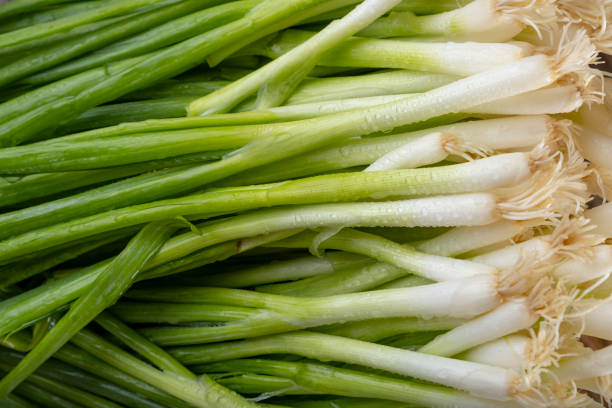 istock Bunch of fresh Green Onions, Scallions 1172543708