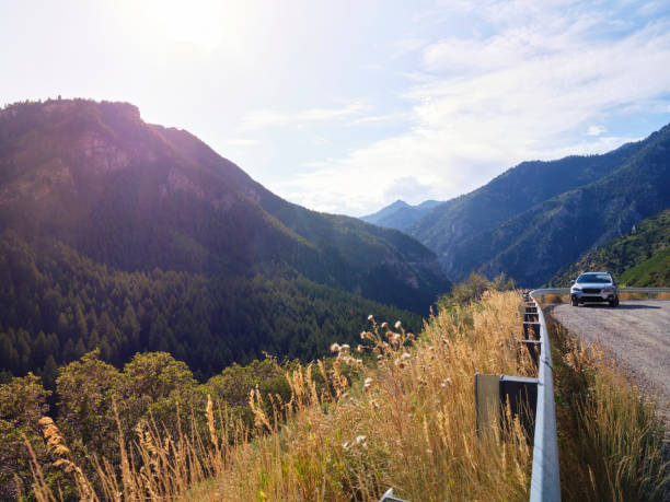 A car on a mountain rural road in summer.