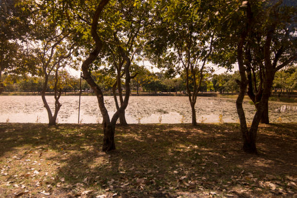 the pool at the khmer ruin of Tha Nang Sa Phom near the town of Phimai in the Provinz Nakhon Ratchasima in Isan in Thailand.  Thailand, Phimai, November, 2017