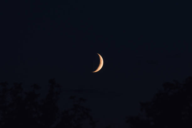 istock The new moon sets behind trees in the evening 1172555557