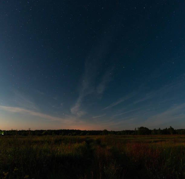 istock Starry sky over the road in the field 1172555695