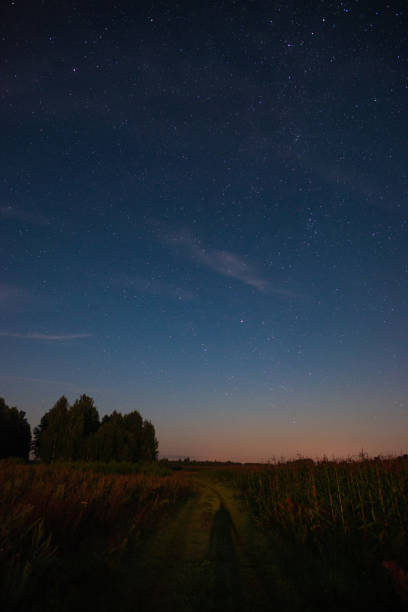 istock Starry sky over the road in the field 1172555903