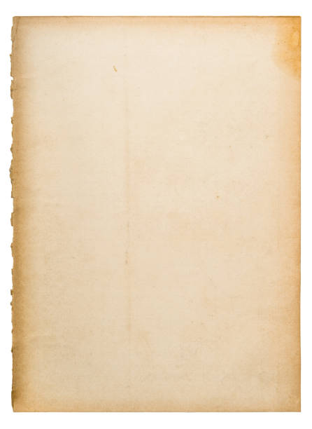 istock Old used paper sheet edges isolated white background 1172557125