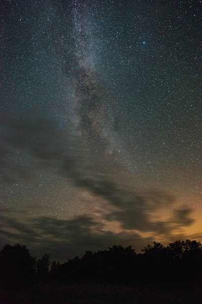 istock Night sky with milky way over the forest summer night 1172558435