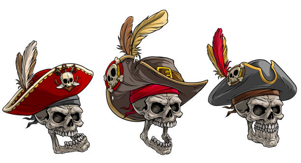 illustrations, cliparts, dessins animés et icônes de crânes humains de dessin animé dans le chapeau de pirate avec des plumes - sailor people personal accessory hat