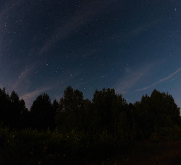 istock Starry sky over the forest summer night 1172558794