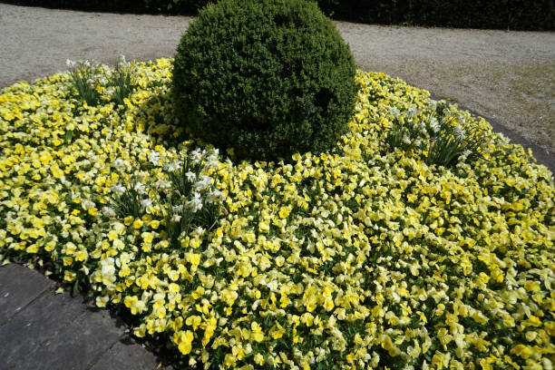 istock Well maintained park for recreation for all open in Germany 1172559574