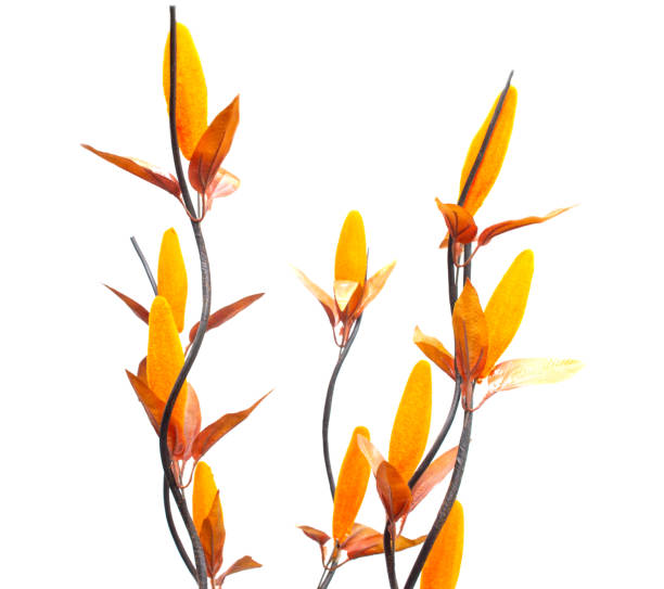 istock Orange artificial flowers on a white background, isolate, decoration 1172564690