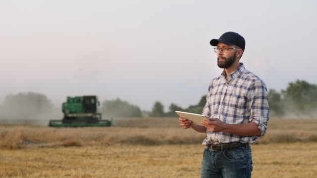 A male farmer uses a digital tablet in the field